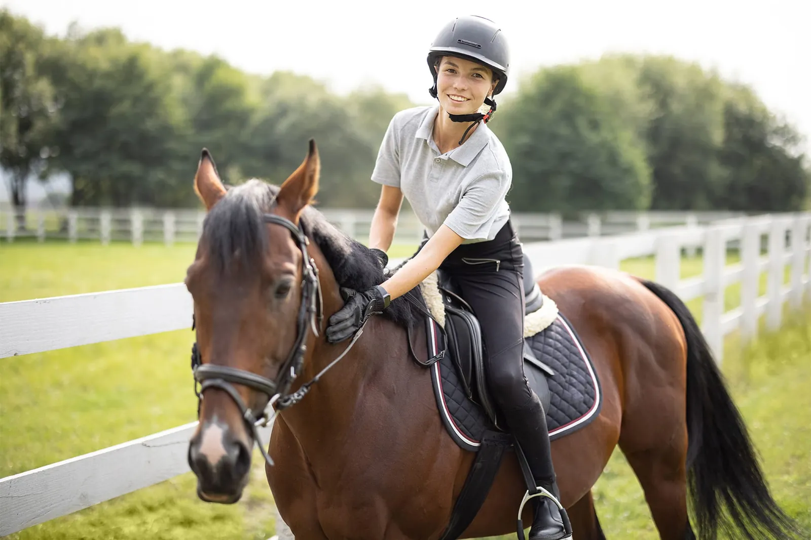 Lezione di equitazione in campo con un cavallo baio
